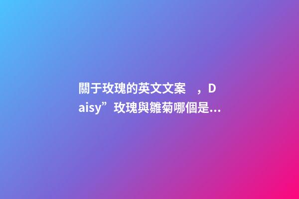 關于玫瑰的英文文案，Daisy”玫瑰與雛菊哪個是在夸美人-第1張-觀點-玄機派